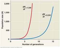 Graph showing exponential population growth with different r values