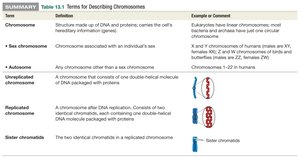 Table of chromosome terms