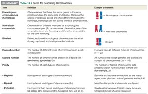 Table of chromosome terms continued