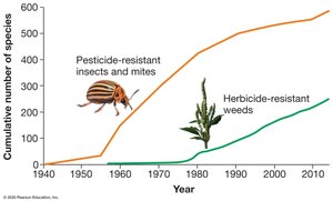 Pesticide and Herbicide Resistance Are on the Rise