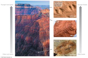 Sedimentary Rocks Reveal the Vastness of Geologic Time