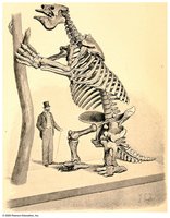 Evidence of Extinction