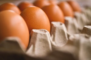 Chicken eggs in a carton