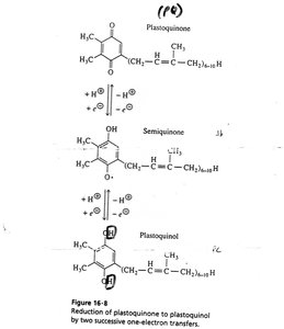 Plastiquinone and cytochrome structure