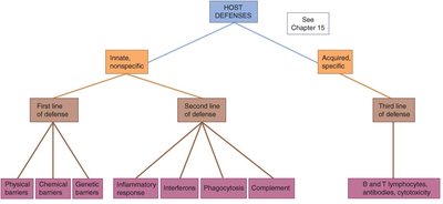 Host defenses: innate and acquired immunity