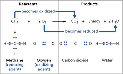Redox reaction in methane combustion