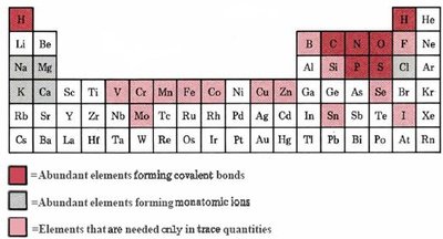 Periodic table highlighting SPONCH elements