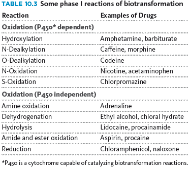 Phase I reactions of biotransformation