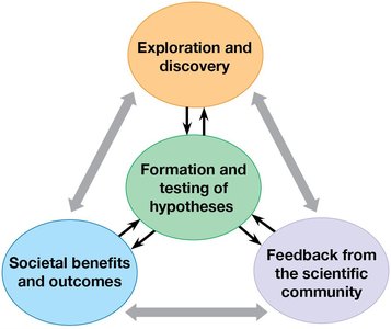 The process of science: exploration, feedback, societal outcomes