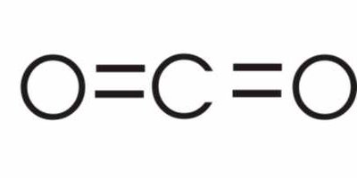 Lactic acid and alcohol fermentation pathways
