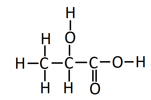Lactic acid fermentation pathway