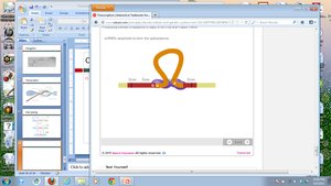 Spliceosome and RNA splicing
