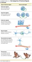 Six categories of chemical signals in animals