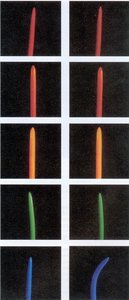 Phototropism in wild-type and mutant seedlings under blue light
