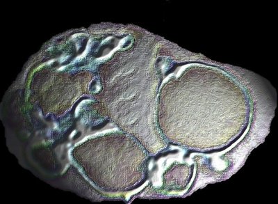 Diagram of a cell with large vacuoles
