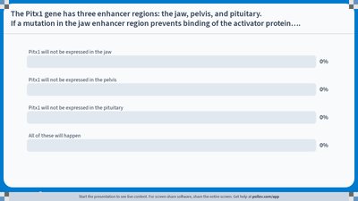 Quiz slide about Pitx1 enhancer mutation effects