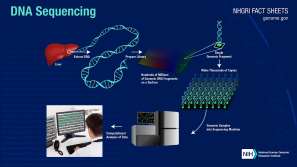 DNA profiling STR comparison