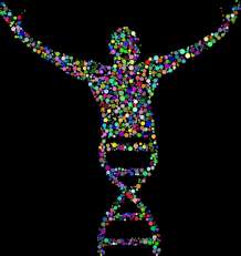 Gel electrophoresis for DNA analysis