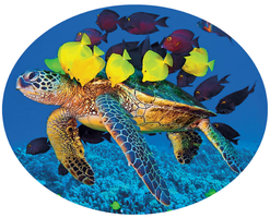 Sea turtle with fish demonstrating mutualism
