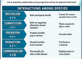 Table of interactions among species