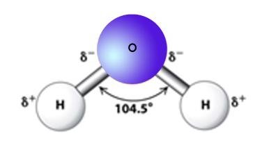 Structure of water molecule showing bond angle and partial charges