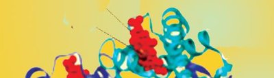 Tertiary structure of a protein