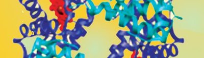 Quaternary structure of a protein