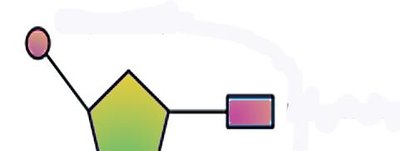 Nucleotide with labeled phosphate, sugar, and base