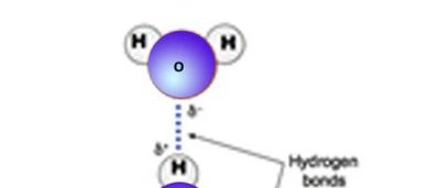Hydrogen bonding between water molecules