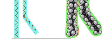 Space-filling model of a phospholipid