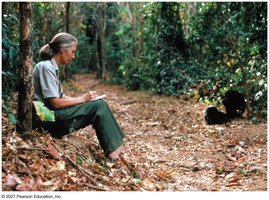 Jane Goodall collecting qualitative data