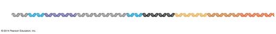 Lac operon structure and regulatory elements