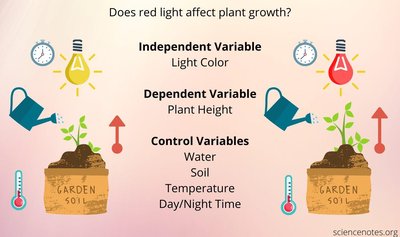 Variables in an experiment