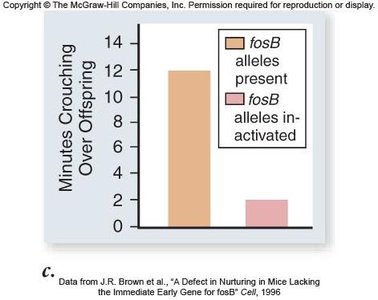 Bar graph showing minutes crouching over offspring