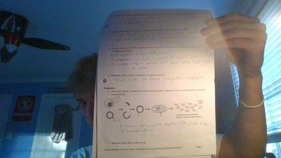 Spermatogenesis and oogenesis diagrams