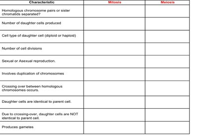 Comparison table of mitosis and meiosis