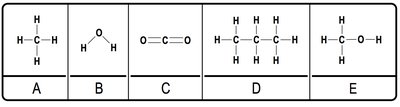 Variations of Carbon Backbones: Length, Position of Double Bonds, Branch Points, Ring Forms