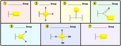 Common functional groups in biology