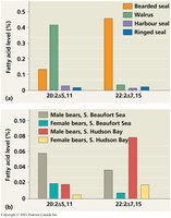 Fatty acid signatures in different animals