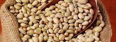 Photograph of seeds