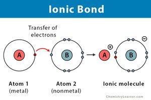 Ionic bond formation