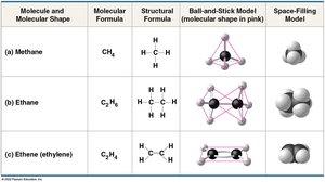 Variation in carbon chain length