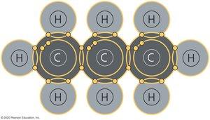 Presence of rings in carbon skeletons