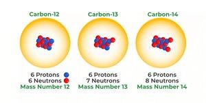 Isotopes of carbon with different numbers of neutrons
