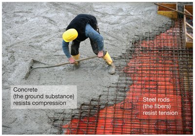 General Biology Study Guide: Cell–Cell Interactions & Signals | Notes