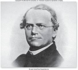 Portrait of Gregor Mendel