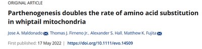 Article headline about parthenogenesis in whiptail lizards