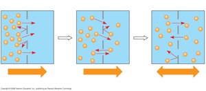 Diffusion of one solute across a membrane