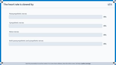 Basic regions of the vertebrate brain