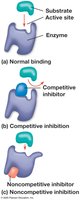 Competitive and noncompetitive inhibition